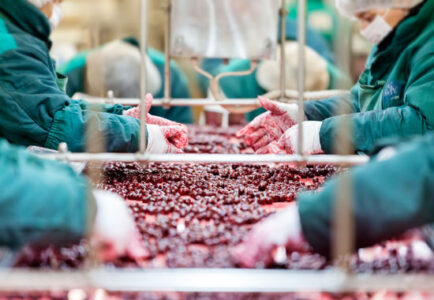 Maraschino Man: The Odd and Unfortunate Story of Arthur Mondella Image